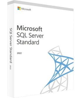 Microsoft SQL Server 2022 Standard Edition (228-11642) Deutsch/Multilingual (ESD)